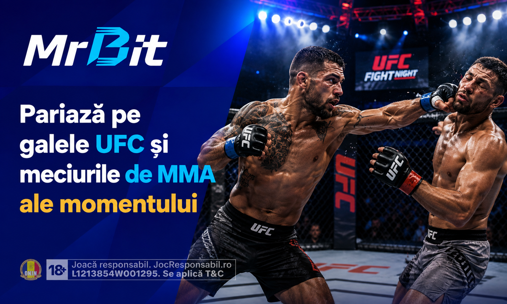 Pariuri Pe MMA Și UFC